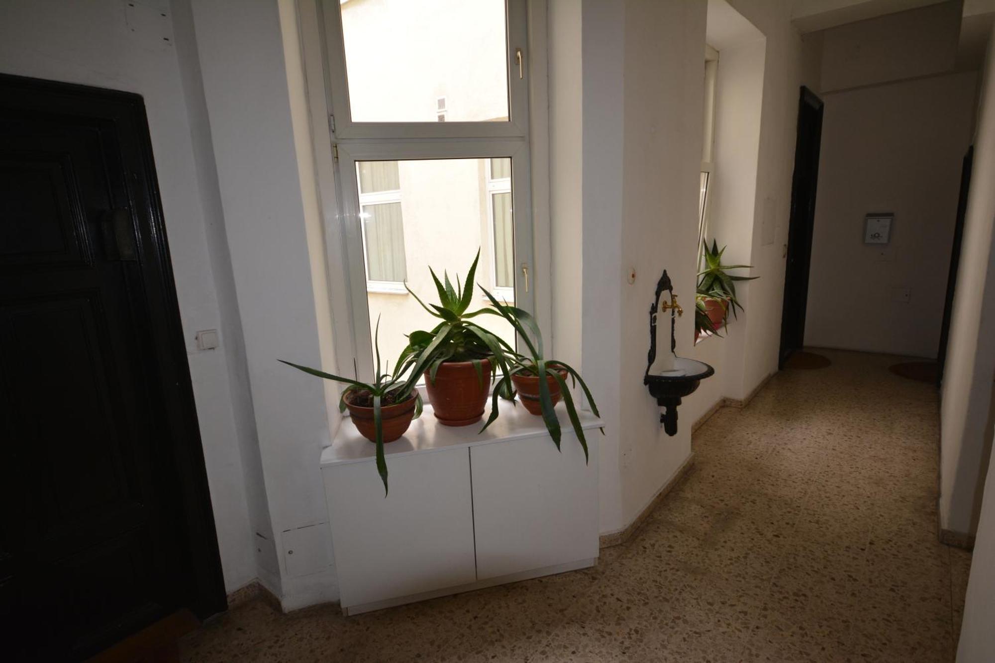 Vienna Holiday Apartments エクステリア 写真
